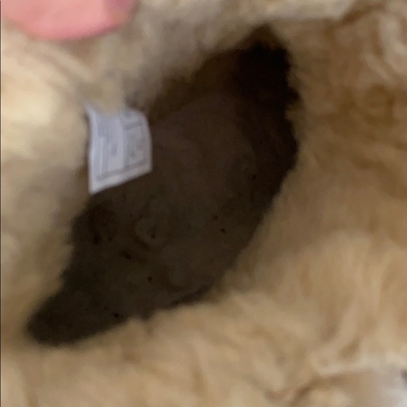 Ugg boots - Classic Cuff Short Boots - Sold - Picture 8 of 14